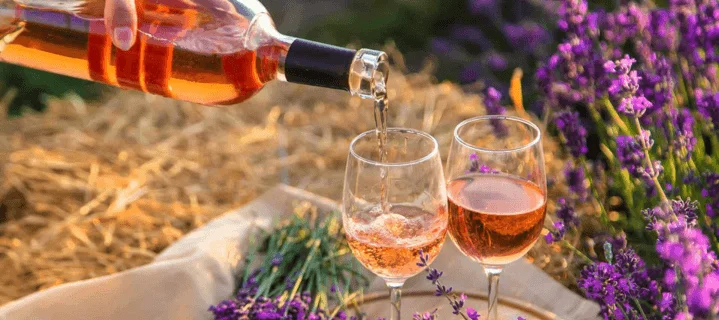 Wine Bar and Mezze Platter in Lawrenceville Pittsburgh