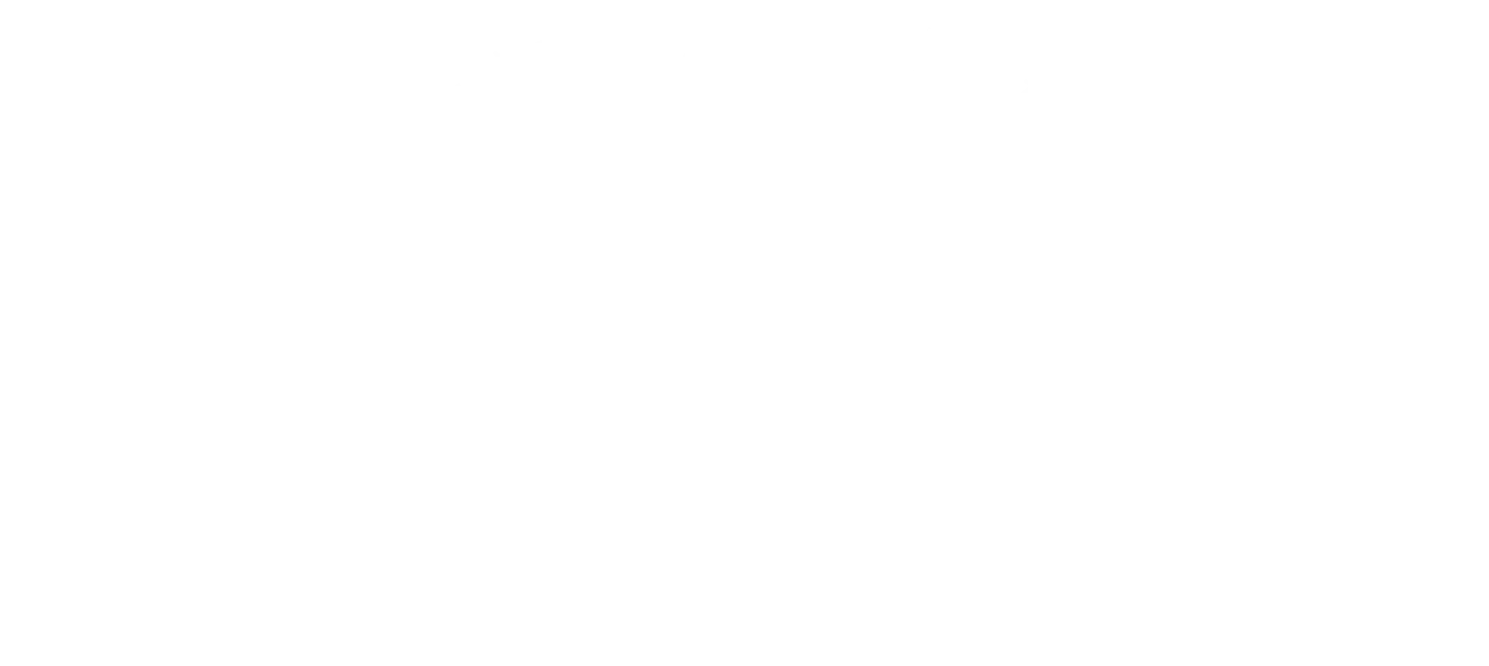 Pita My Shawarma Logo